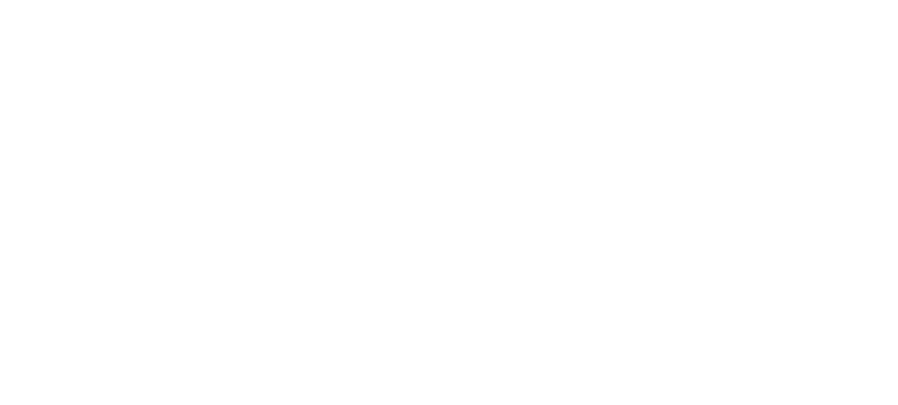Logo Develotique